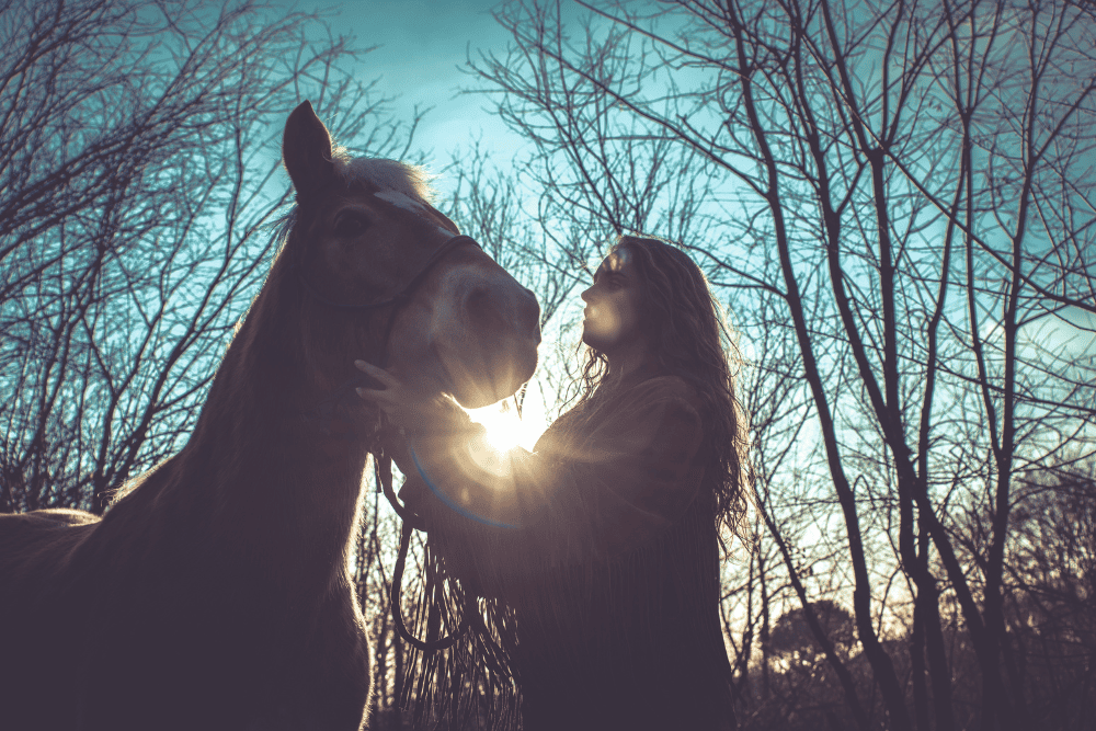 Le rôle du cheval dans l’apprentissage de la gestion des émotions